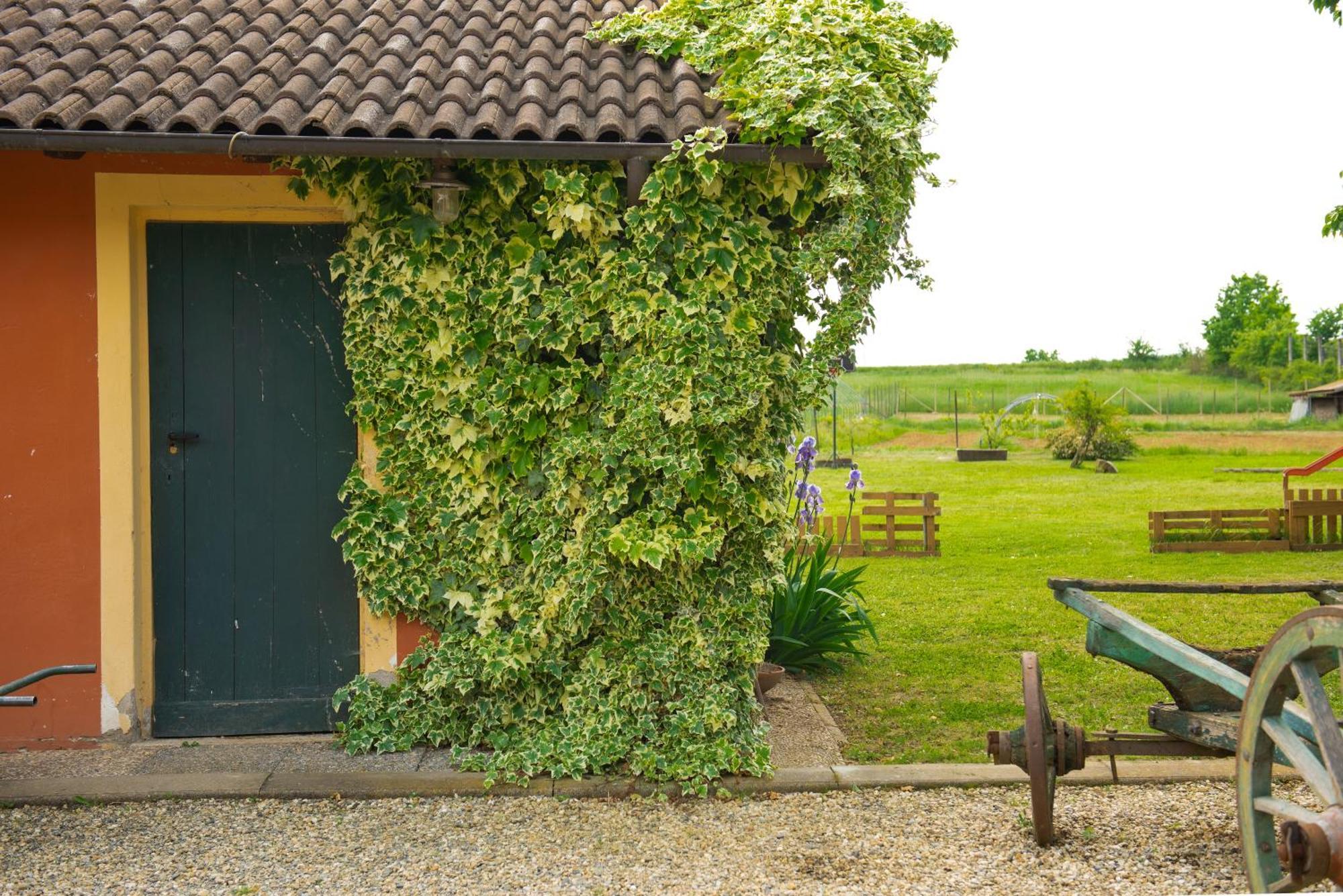 Country House Cascina Orto Pasturana Buitenkant foto
